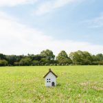 250 متر زمین در قرچک