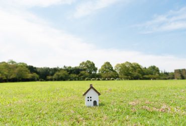 250 متر زمین در قرچک